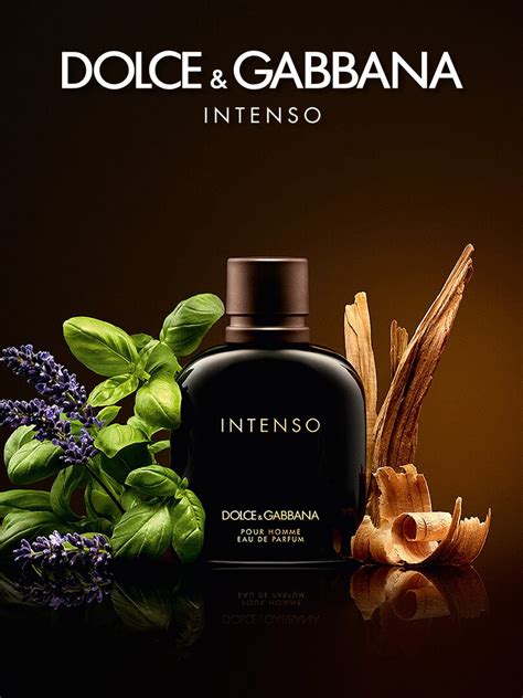 dolce gabbana parfum homme l& 39|dolce and gabbana intenso fragrantica.